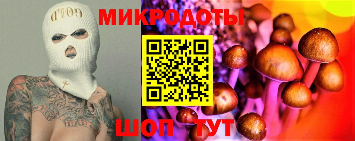 закладка  Вход с VPN  Сегежа  Псилоцибиновые грибы Magic Shrooms 