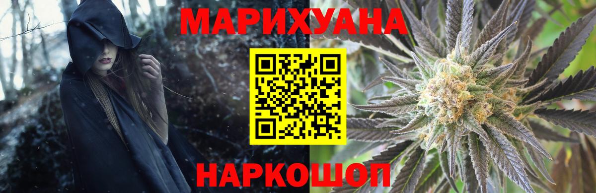 Конопля гибрид Сегежа